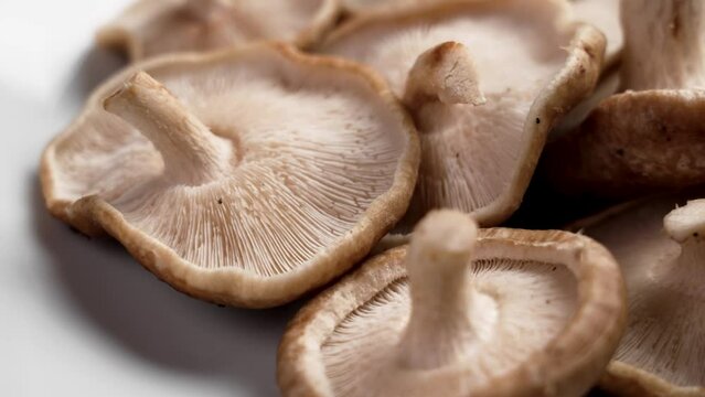 Shiitake mushrooms on a white dish close up. Edible raw fungus. Rotation