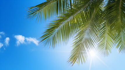 Palm tree, a palms leaves on the blue sky background, Nature video. Closeup palm tree animated with wind in nature. Palm tree and sky background. Nature tree objects and background. generative ai