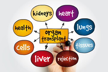 Organ Transplant is a medical procedure in which an organ is removed from one body and placed in...