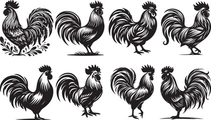 Rooster Chicken Silhouette Vector, Hen Silhouette Clip Art In Different Poses - obrazy, fototapety, plakaty