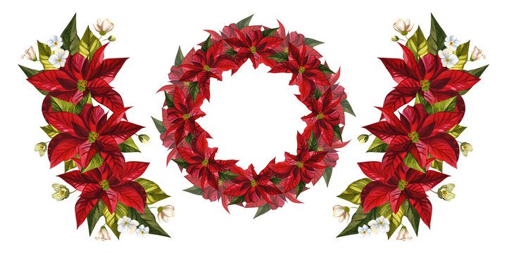 Set of wreath and compositions with flowers. For the design of New Year's cards and invitations. Red poinsettias. Christmas flowers. For background design, textiles, cards