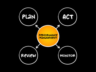 Performance management - process of ensuring that a set of activities and outputs meets an organization's goals in an effective and efficient manner, mind map concept for presentation and reports