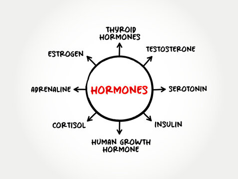 Hormones - your body's chemical messengers, mind map concept background