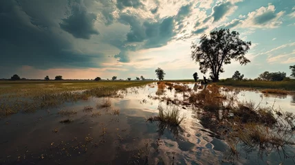  farmland after a flood, with vast expanses of water where crops once were, to highlight livelihood disruption © Filip