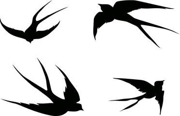 Swallow Bird Silhouette Illustration Graphic