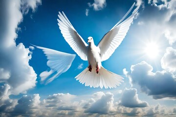 Obraz premium dove of peace