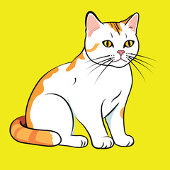 A lonely cat is sitting down