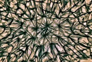 Ilustration resembling brain neurons