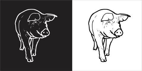 Illustration vector graphics of pig icon