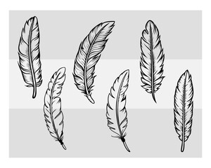 Feather Svg, Feather Silhouette, Bird Feather, Feather Clipart, Feather Vector, Feather Cut Files,