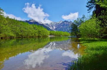 Fototapeta premium 新緑の上高地・大正池