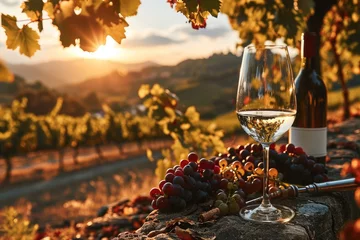 Foto op Plexiglas A luxury experience of wine tasting in valley. Generative AI. © visoot