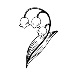 手描き風のスズランのイラスト