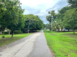road in the park