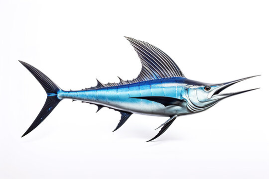 Image of a swordfish isolated on white background. Fresh fish. Underwater animals. Generative AI.