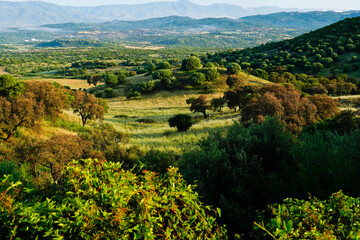 Fototapeta na wymiar Panorama del Supramonte. Oliena. Sardegna, Italy