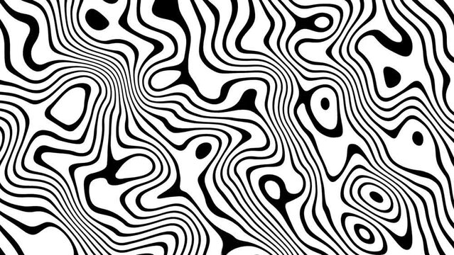 Video, motion graphics, introductory footage backgrounds, black and white lines, fluid, fluid, abstract