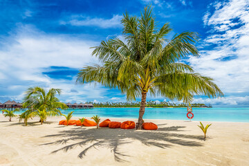 Scenic view of beach in Maldives with palm trees and turquoise pristine water 
