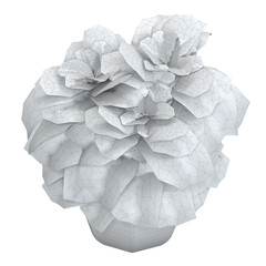 home decorative indoor plants in multiple Style no background, beautiful assets, no background flowers and plants, wire no colour.