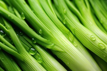 Macro stock photo of lettuce vegetables with green onion leek background