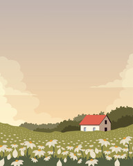 hamomile field, flower field, spring wallpaper, background, vertical banner, poster