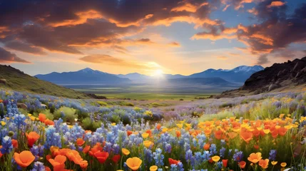 Gardinen Beautiful panoramic landscape with meadow and wildflowers © Iman