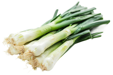Leek on Pure White on a transparent background