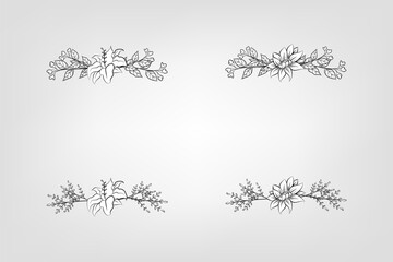 Set botanic blossom floral elements Decorative for Invitation