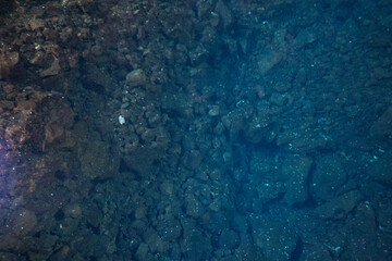 Blind white crabs in the inner pool of the cave of Los Jameos del Agua. Light at the end of the cave. Lanzarote, Canary Islands, Spain.