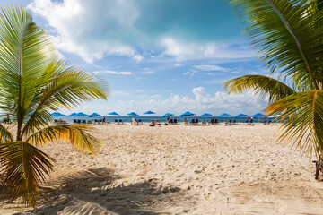 Coconut palm tree leaves, umbrellas and sun-beds on the beach Playa Norte, Isla Mujeres, Quintana Roo Mexico