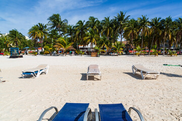 Coconut palm trees and sun-beds on the beach Playa Norte, Isla Mujeres, Quintana Roo Mexico