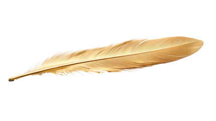 a gold feather on a white background