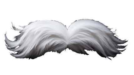 a white feathered wings