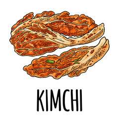Korean food kimchi. Vintage color vector engraving illustration. Isolated on white