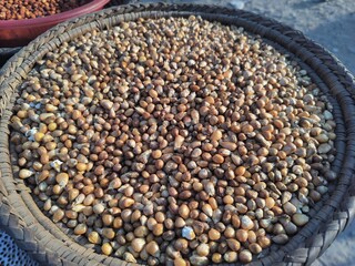 What is the meaning of kernel in peanut?
