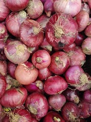 Beautiful onion scene with red and purple color. fresh onions as a background.