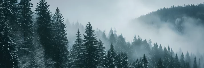Fotobehang Amazing mystical rising fog forest snow snowy trees landscape snowscape in black forest ( Schwarzwald ) winter, Germany panorama banner - dark mood. © john