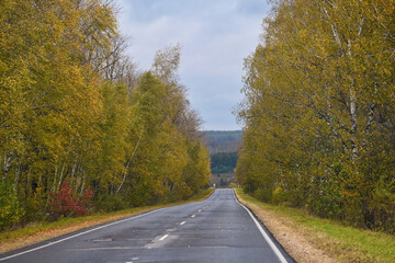 Autumn highway road through a birch grove