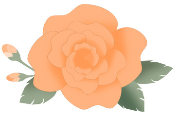 orange bloom rose with leaves and flower buds