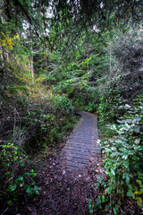 Fort Ebey State Park on Whidbey Island, WA