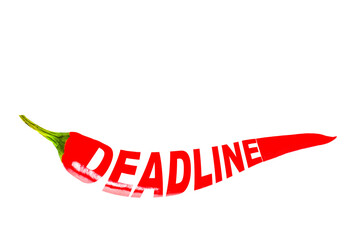 DEADLINE. Creative text on red hot chili pepper. Transparent background. PNG