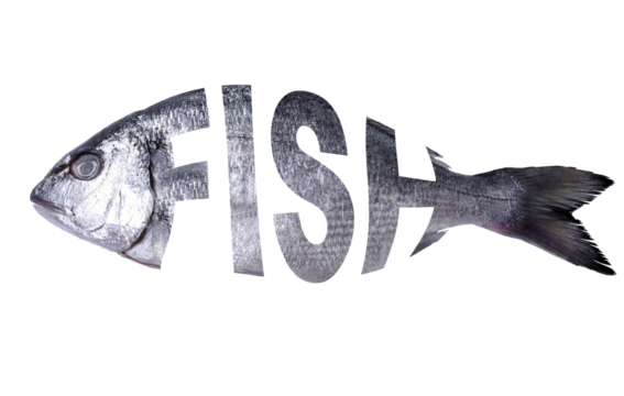 Fresh fish, Dorado fish, Creative text Fish. Transparent background. PNG