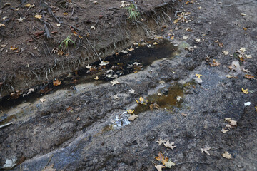 Muddy tracks with puddles on wet muddy surface in forest path close up