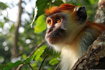 Monkey Lemur in jungle, Wildlife Photography, generated with AI