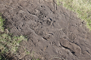 Foot mark on the jungle trail. Shoe prints on wet gravel or mud in mountain area outdoors