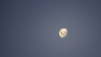 moon on plain background