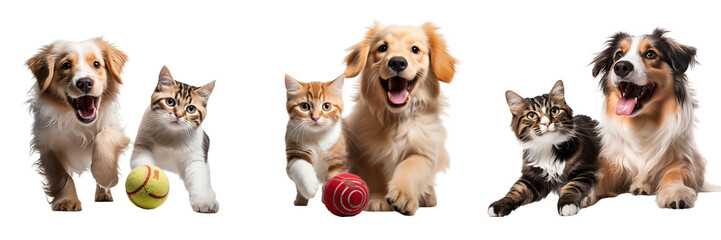 Collection of cat and dog in motion, playing with ball isolated on white background