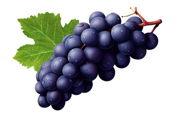 Fototapeta premium Dark blue grape isolated on a Transparent background. Generative AI