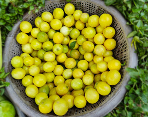 Lemons lying on a pile on top of each other, lemon texture. Group of fresh lemons. 