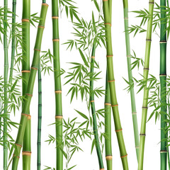 Artificial Intelligence Art: Bamboo Trees on White On transparent background PNG file